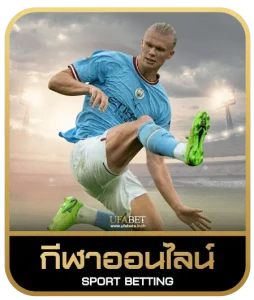 D789 เดิมพันกีฬา